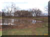 Gilstrap II Pond SE 111200.JPG (601151 bytes)
